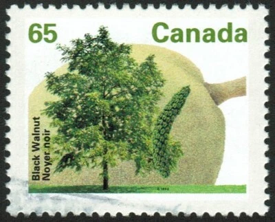 Árvores frutíferas Canadá sc#1367: noz preta, usadas - Imagem 1 de 2