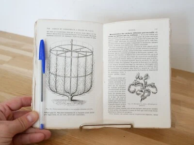 DU BREUIL (1861) Cours Elémentaire d'ARBORICULTURE - Taille, Arbres Fruitiers .. - Photo 1/4