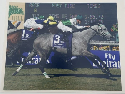 2008 Breeders Cup Grade 1 Filly & Mare Turf Forever Together & Julien 8x10 Photo - Image 1 of 4