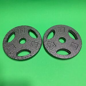 Lot Of 2 (5 LB Pound) 1” Standard Grip Barbell Weight Plates CAP (10 Lb Total)