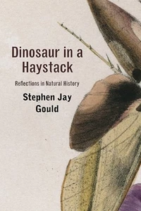 Dinosaurier IN A Haystack: Reflections IN Natürlich Geschichte Taschenbuch - Bild 1 von 2