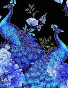 1m x 1,10m Baumwoll Stoff Pfau Elegant Blau 100% Baumwolle - Bild 1 von 4