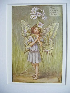 Estampado de hadas de flores vintage y montura para dama bata hada Cicely Barker década de 1930  - Imagen 1 de 3