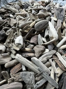 700 Tiny Driftwood Pieces Under 2” Natural Beach Wood Lot for Crafts DIY Decor - Picture 1 of 5