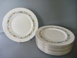 Royal Doulton Pastorale - 12 Speiseteller - (6+6) 10,5" oder 27 cm  - Bild 1 von 10