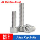 M12 M14 Cap Screws Hex Socket Allen Key Bolts Marine Grade A2 Stainless Steel