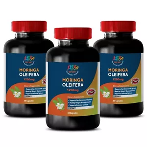 Premium Quality - Super Food - Moringa Oliefera Extract 1200mg - 3 Bot 180 Ct - Picture 1 of 2