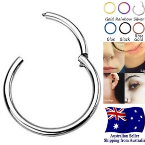 Titanium Hinged Segment Clicker Hoop Ring Lip Ear Nose Septum Body Piercing 1pc - Picture 1 of 5