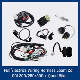 250cc QUAD ELECTRICS 150 200cc Zongshen Lifan Ducar Razor CDI COIL WIRE HARNESS