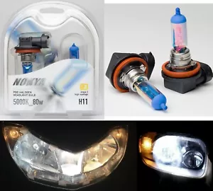 Nokya 5000K White H11 Nok8018 80W Two Bulbs Head Light Low Beam High Wattage Fit - Picture 1 of 12