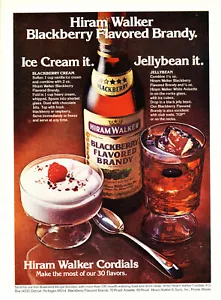 HIRAM WALKER BRANDY AD #1 RARE 1976 OUT OF PRINT - Imagen 1 de 1