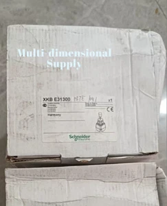 1PCS NEW XKBE31300 Via DHL/UPS/FeDEX #WAT - Afbeelding 1 van 3