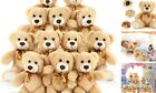 Cuddly Soft Teddy Bear Bulk 12 Packs, Teddy Bear Light Brown (12 Packs)