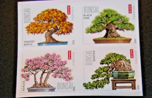 2012 US Bonsai block of 4, Forever Stamps - MNH Self Adhesive 4622b - Picture 1 of 1