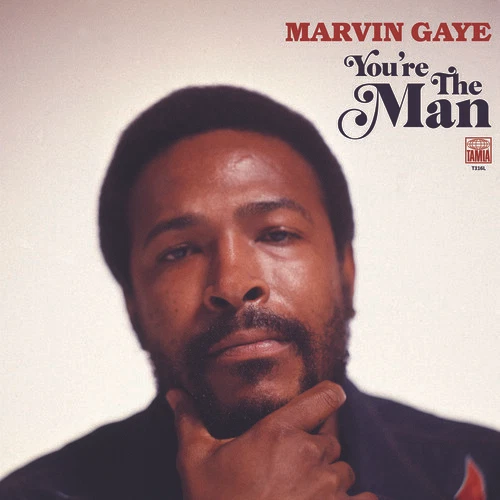 You're the Man by Gaye, Marvin (Record, 2019) Foto 1 de 1