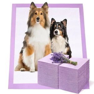 Pet Toilet Training Pads 50Count Disposable Puppy Pee Pads 34" x 28" for Dogs... - Picture 1 of 7