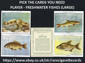 PLAYER - FRESHWATER FISHES (LARGE) - PICK THE CARDS YOU NEED - Picture 1 of 39