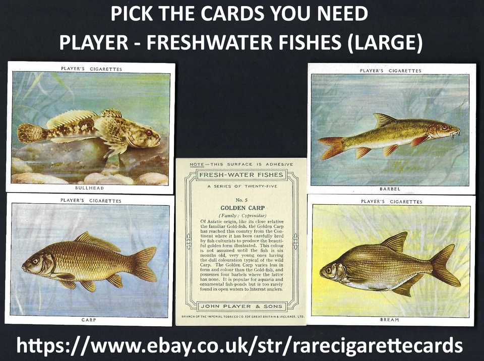 PLAYER - FRESHWATER FISHES (LARGE) - PICK THE CARDS YOU NEED - Image 1 of 1