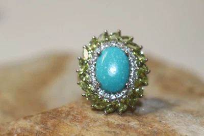 Nevada Turquoise Ring Size 8 TGW 8.440 cts .925 SS ERV: $519.99 Gift Box NWOT Foto 1 de 4