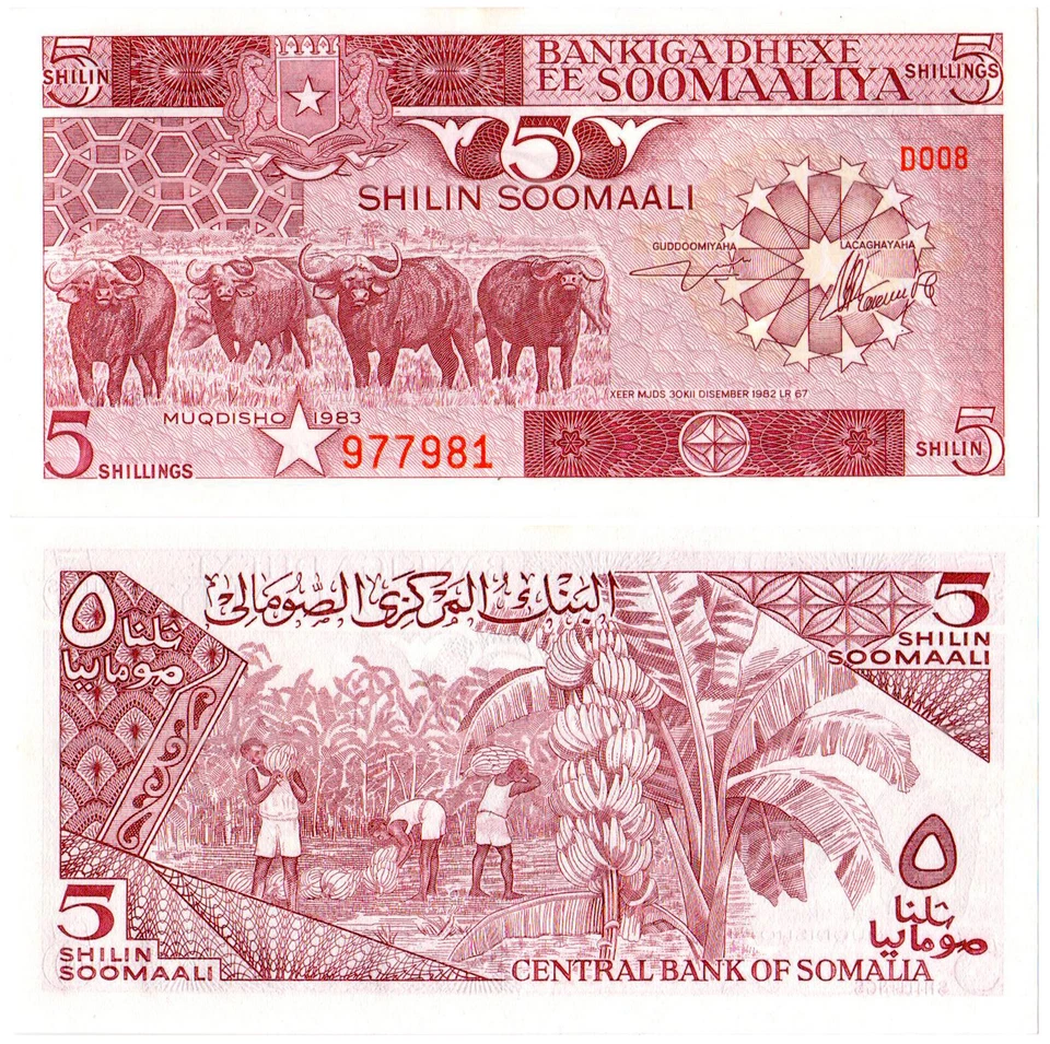 Somalia 5 Shilin Soomaali P#31a (1983) Bankiga Dhexe ee Soomaaliya UNC - Image 1 of 1