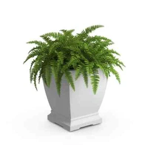 Acadia 16 in. Square Self-Watering White Polyethylene Planter - Picture 1 of 6