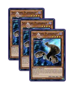 Yugioh! Splitting Planarian ROTA-EN100 (SR) 1st Ed 3x - Picture 1 of 1