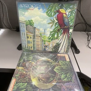 spyro gyra lot of 2 lp’s vinyl catching the sun carnaval - Picture 1 of 9
