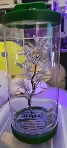 LEMAX  Morning Dew tree -Holiday Village-6 Inch-New christmas - Picture 1 of 2