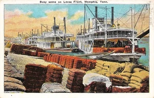 # K2193     MEMPHIS,  TN.    POSTCARD,     RIVER BOATS - Picture 1 of 2