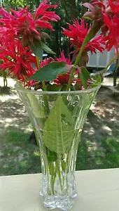 CUT CRYSTAL VASE 9" Tall 5" Wide Sounds Pretty Really Sparkles HOME DECOR FLOWER - Bild 1 von 3