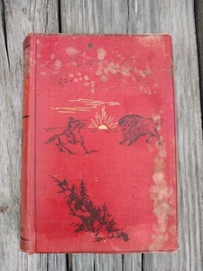 Antikes Buch: Das große einsame Land von Colonel William Francis Butler 1889 - Bild 1 von 12