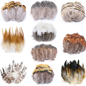 200Pcs 10 Style Natural Feathers Assorted Mixed Feathers for Dream Catcher Craft - Picture 1 of 7