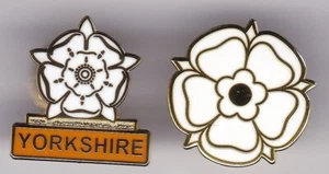 2 HULL CITY YORKSHIRE ENGLAND ROSE LOT FOOTBALL BADGE SET - Picture 1 of 1