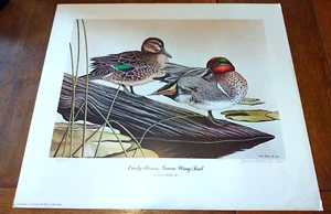 James Partee Jr. Signed Lithograph Print/Poster "Early Risers, Green Wing Teal" - Picture 1 of 4