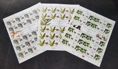 *FREE SHIP Malaysia Medicinal Plants II 2004 Fruit Flower Tree (sheetlet) MNH - Image 1 of 4