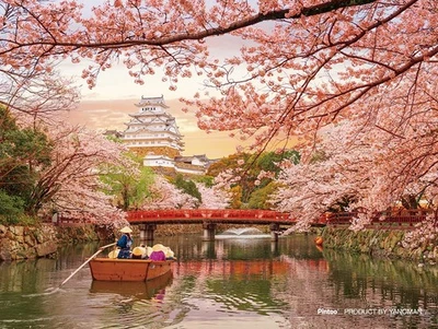 Rompecabezas 150 piezas Castillo Himeji y cerezos en flor [Petit Paris Clear] Foto 1 de 4