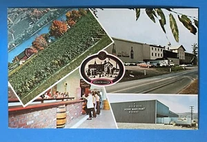 Vintage Multiview Postcard Gold Seal Vineyards Hammondsport New York NY - Picture 1 of 2
