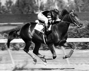 Triple Crown Racehorse WAR ADMIRAL Glossy 8x10 Photo Print Charles Kurtsinger - Picture 1 of 1