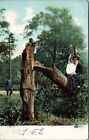 carte postale couple dans l'arbre police - carte postale illustrée série 90 #1 romance