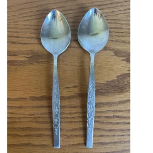 SPANADA Stainless Retro Mid Century Oneida Wm. A Rogers Two Soup Spoons. - Picture 1 of 3