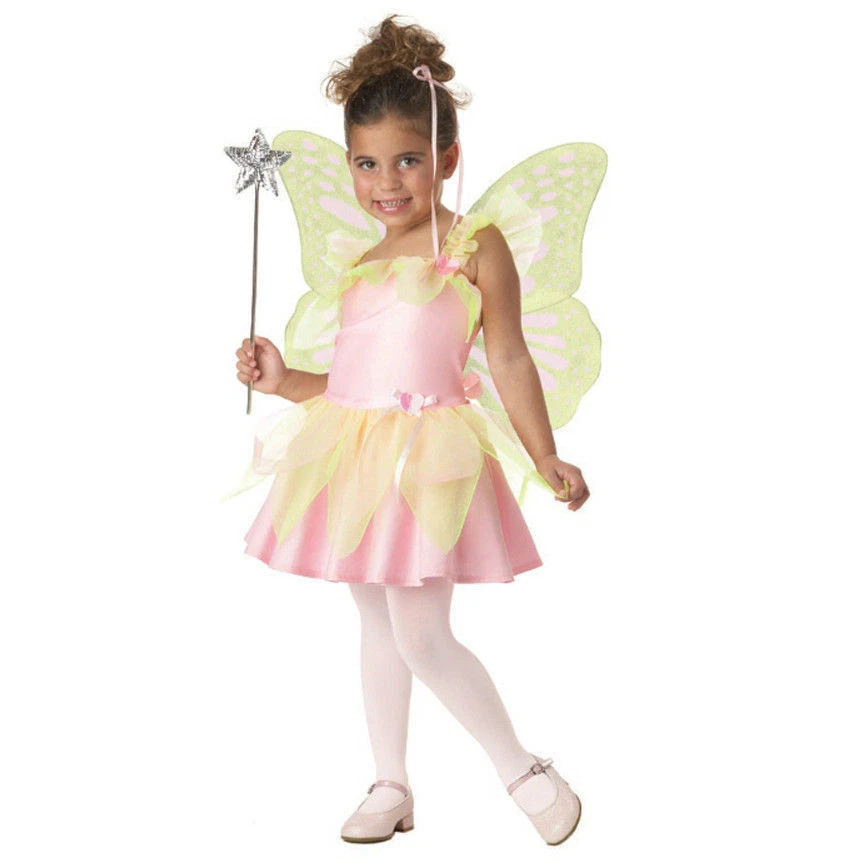 Costume 2pc Sweet Heart Fairy Dress & Wings Pink Green Toddler 2-4 NIP - Image 1 of 1