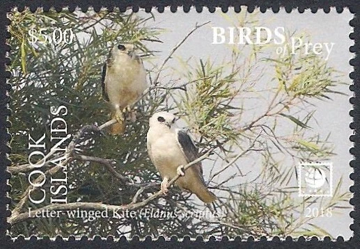 Cook Islands 2018 - Bird of Prey - Letter-winged Kite - Image 1 of 1