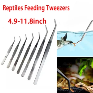 12.5-30cm Stainless Steel Forceps Curve Plant Long Tongs Feeding Tweezers Clean - Picture 1 of 18