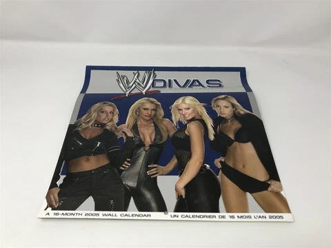 2005 WWE Diva wrestling CALENDAR Michelle McCool, Torrie Wilson, Trish - RARE Cover