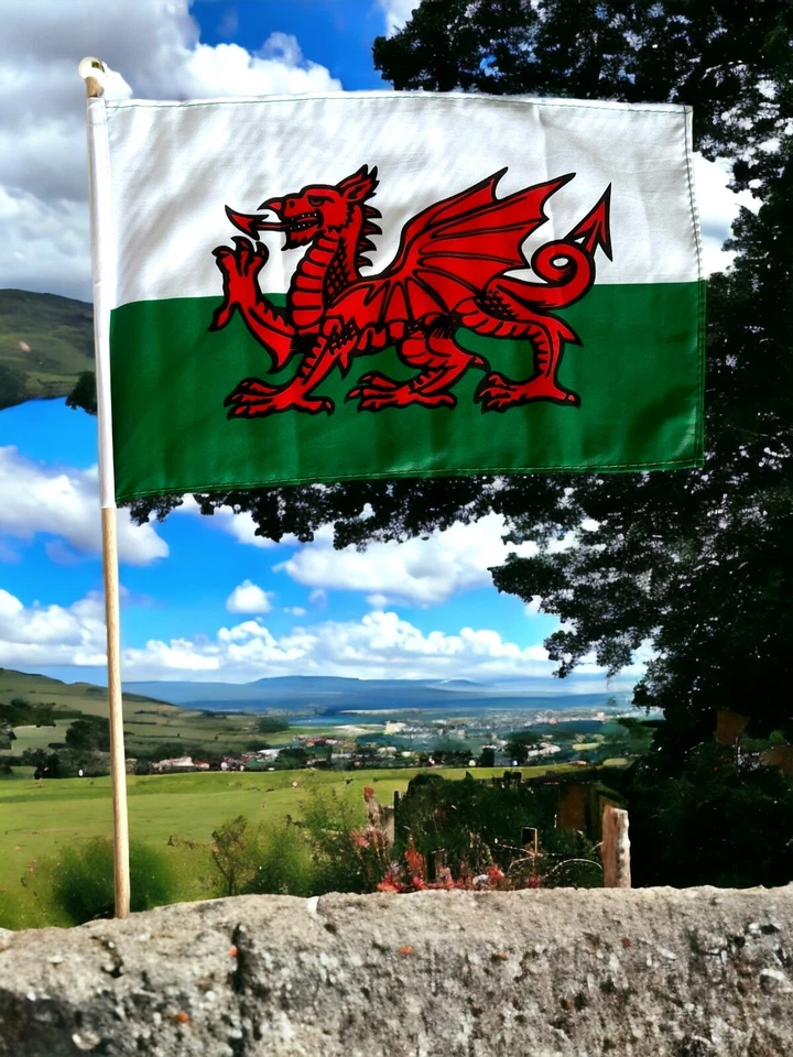 WALES 18" x 12" LARGE HAND WAVING COURTESY FLAG & POLE welsh cymru - Image 1 of 1