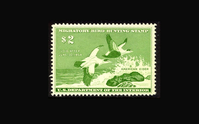 USA Federal Duck Stamp-Mint OG&H, XF S#RW24 Lightly hinged, fresh color - Image 1 of 1