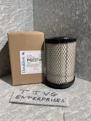 P603746 DONALDSON GILLIG 8256627000 / STEWART & STEVENSON 2191P603746 / 4044483 Foto 1 de 3