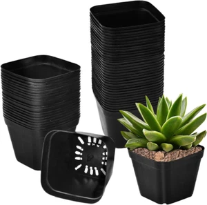 50 Pezzi Vasetti per Semina Vaso per Piantine 10Cm Vasi Piccoli Plastica Vasi Re - Foto 1 di 12