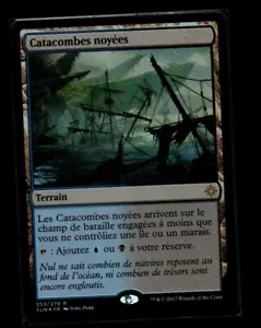 MRM FR/VF FOIL Catacombes Noy��es - Drowned Catacomb MTG Magic XLN - Bild 1 von 1