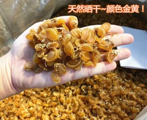 50 g pesce essiccato piccole dimensioni Abalone circa 90 pz fantastico # - Foto 1 di 2